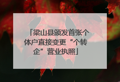 梁山县颁发首张个体户直接变更“个转企”营业执照